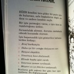 hepsi benim hatam