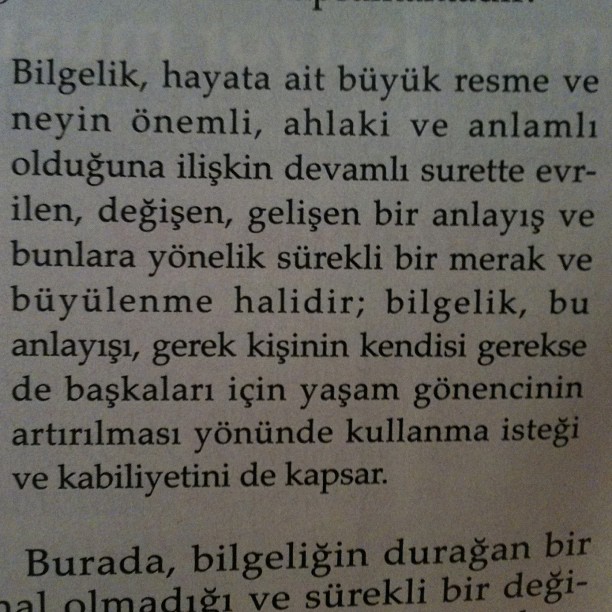 bilgelik ne demek