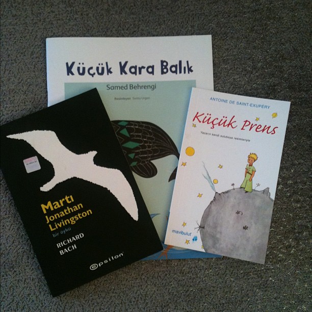 marti kucuk prens kucuk kara balık